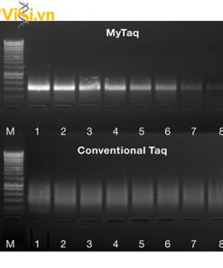 Dung dịch master mix PCR - Thiết Bị Thí Nghiệm Việt Sinh - Công Ty TNHH Khoa Học Kỹ Thuật Việt Sinh